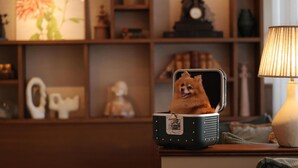 미분류 이미지, 5/42장, 버튼