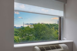 Studio Suite, 1 King Bed, Park View | View from room
