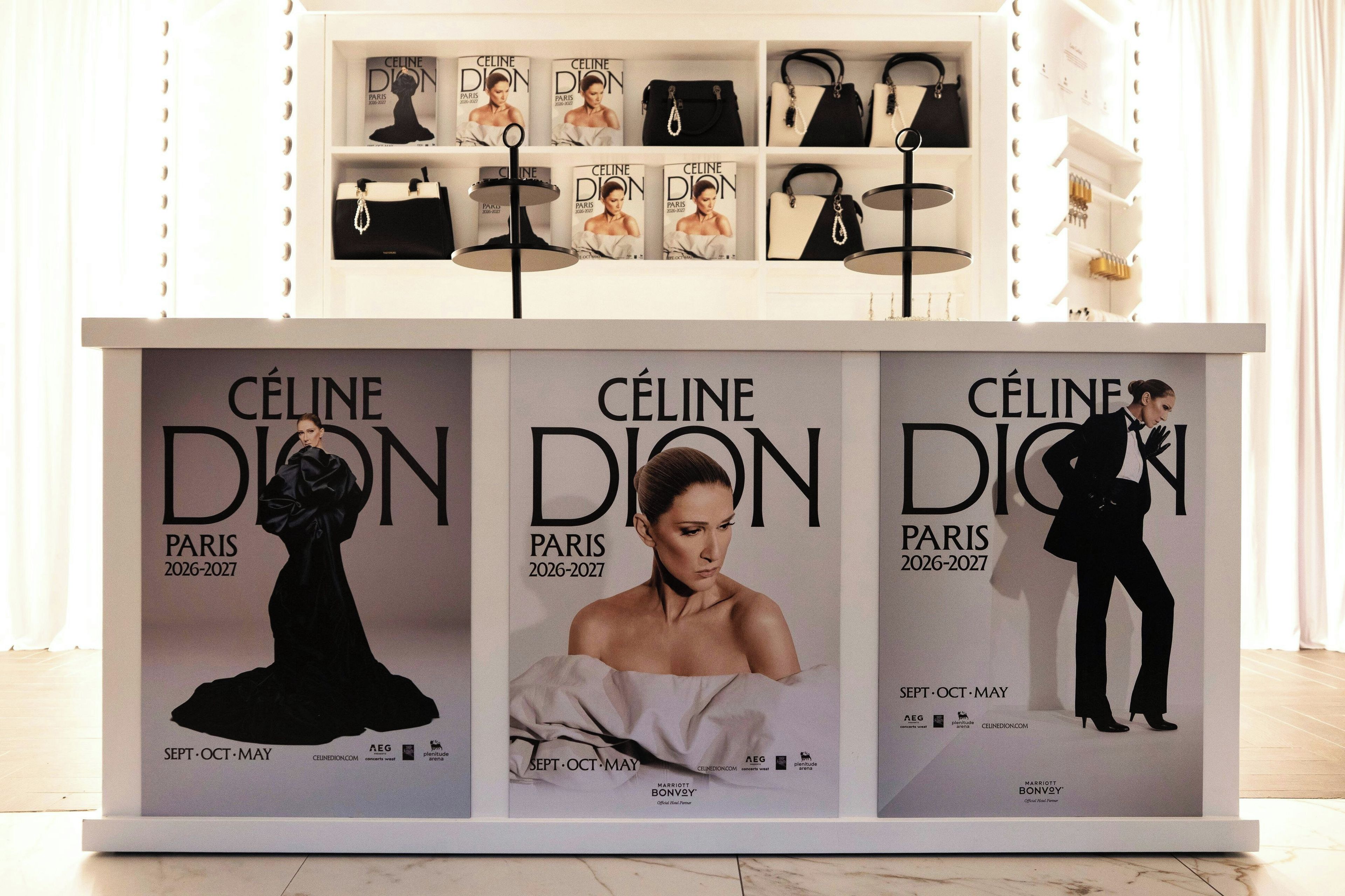 A display of Celine Dion merchandise including posters and handbags.
