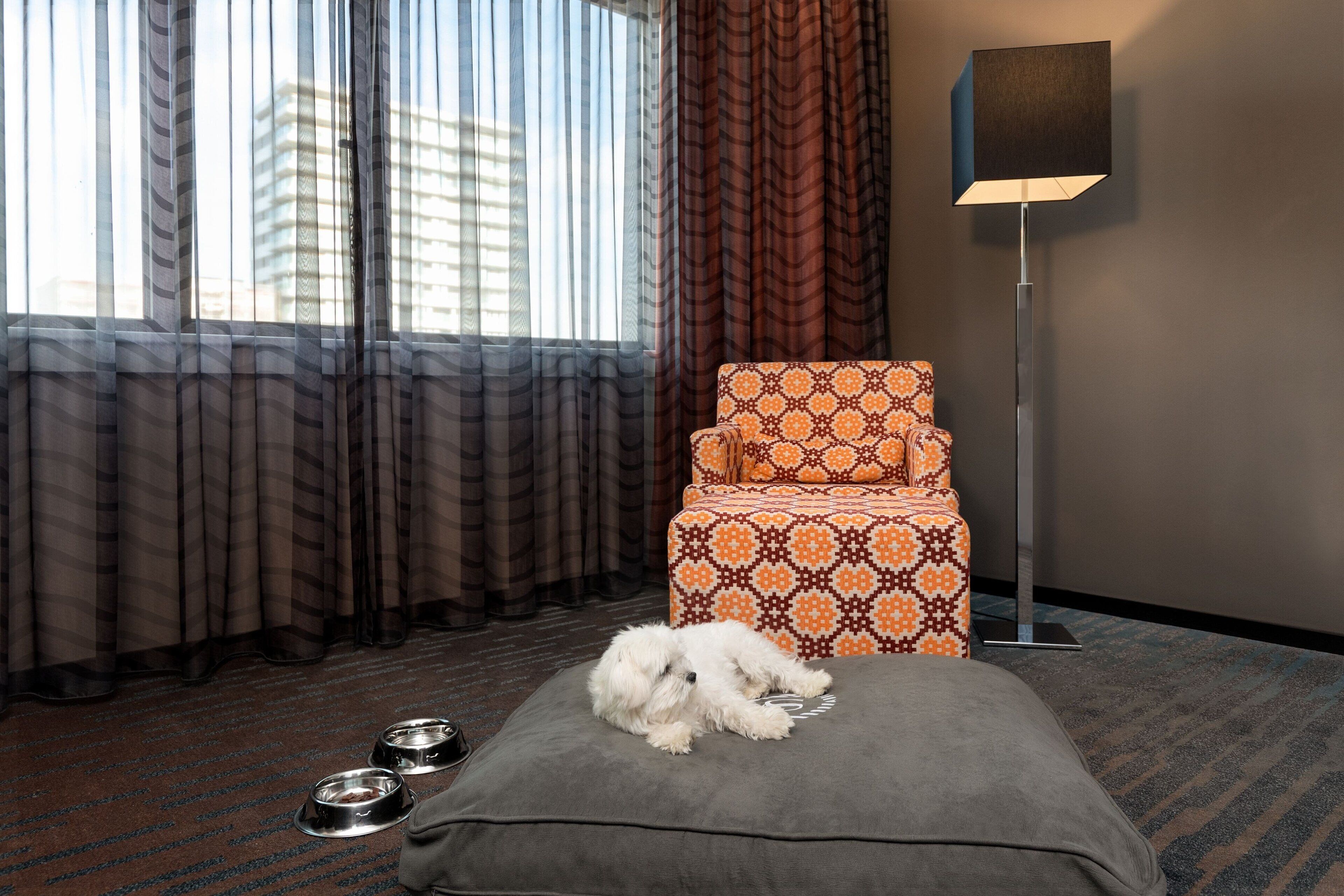 1 bedroom, premium bedding, minibar, in-room safe