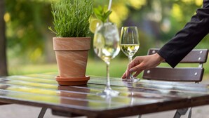 A potted plant, a glass of white wine, and a person’s hand on a wooden table. - Sheraton Essen Hotel (Essen)