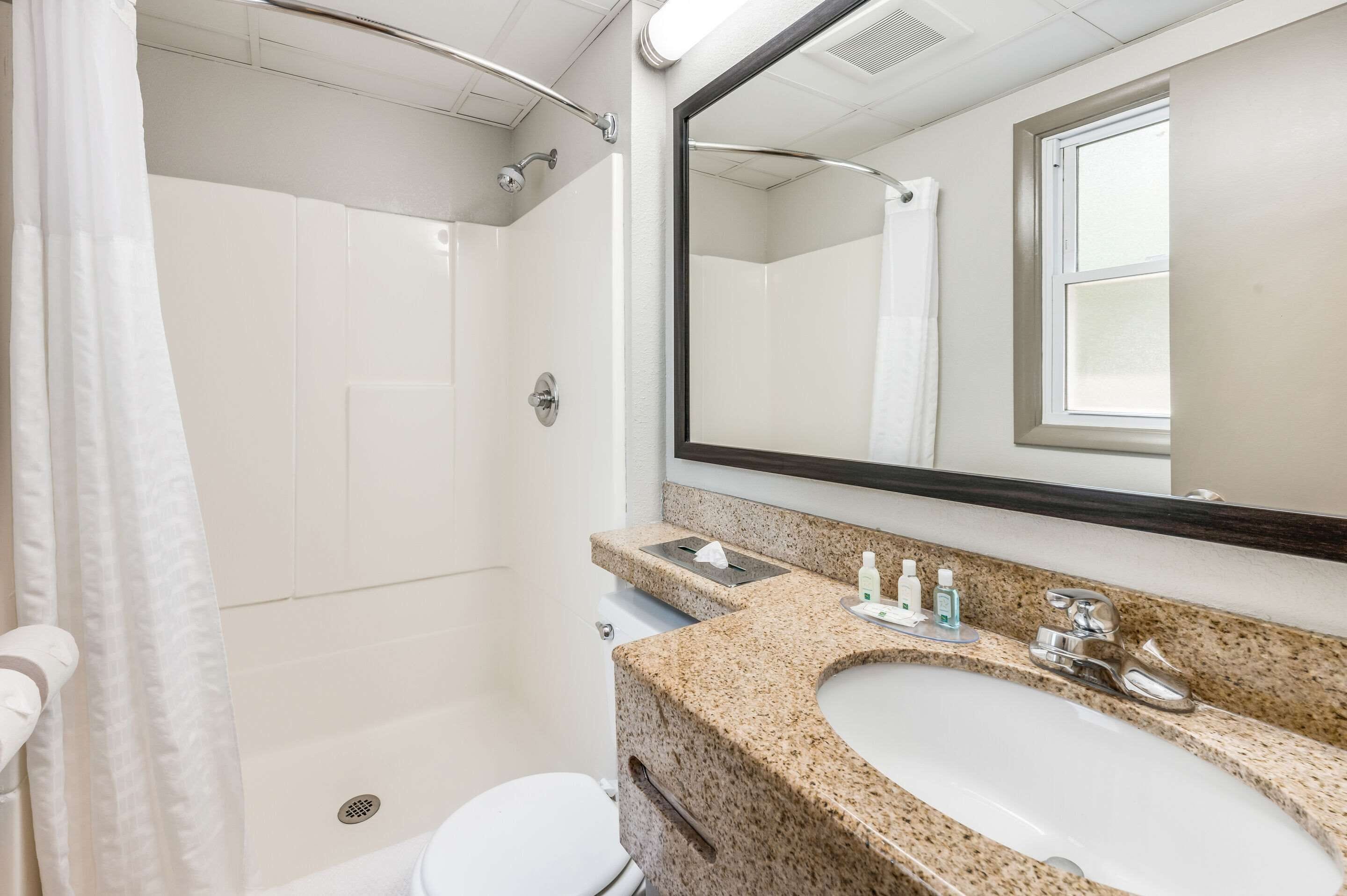 Un baño con ducha, inodoro, lavabo y un espejo grande.
