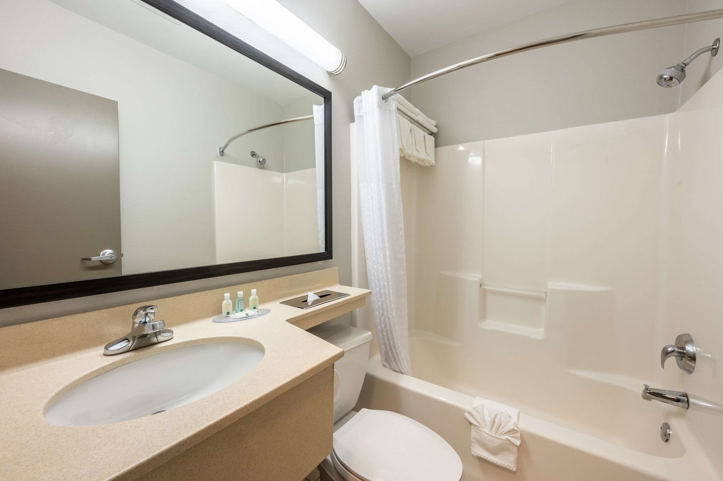 A modern bathroom with a sink, mirror, toilet, and a walk-in shower.