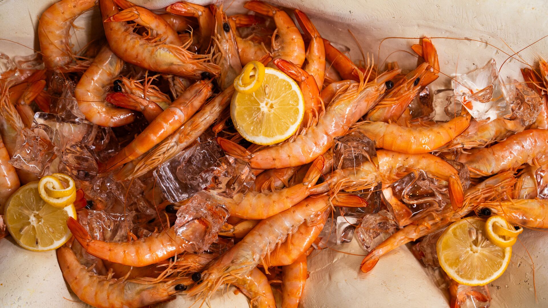 Una bandeja de camarones cocidos con rodajas de limón y hielo.