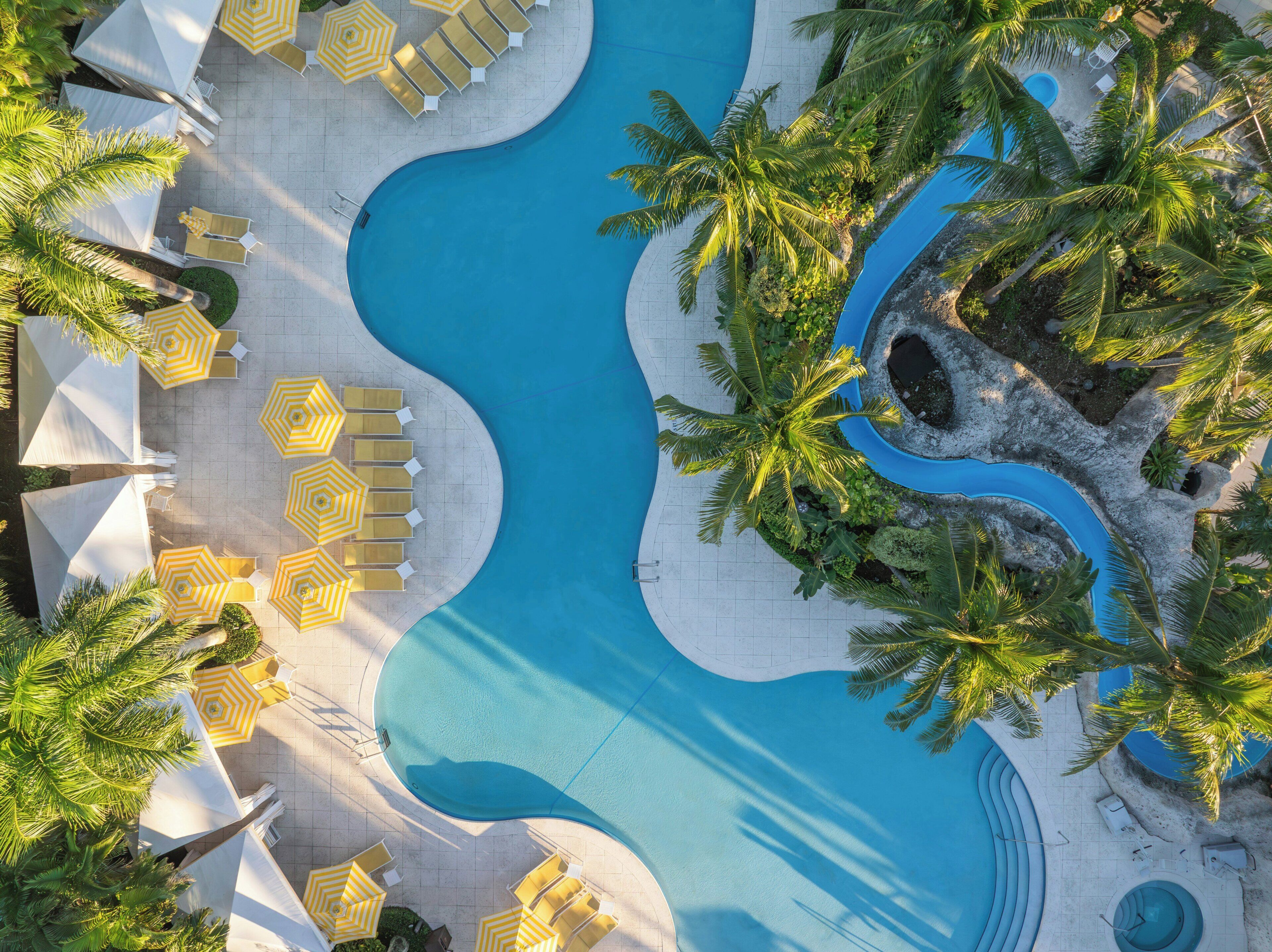 A pool area with multiple lounge chairs and umbrellas, surrounded by palm trees.