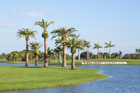 Trump National Doral Miami - Image 91