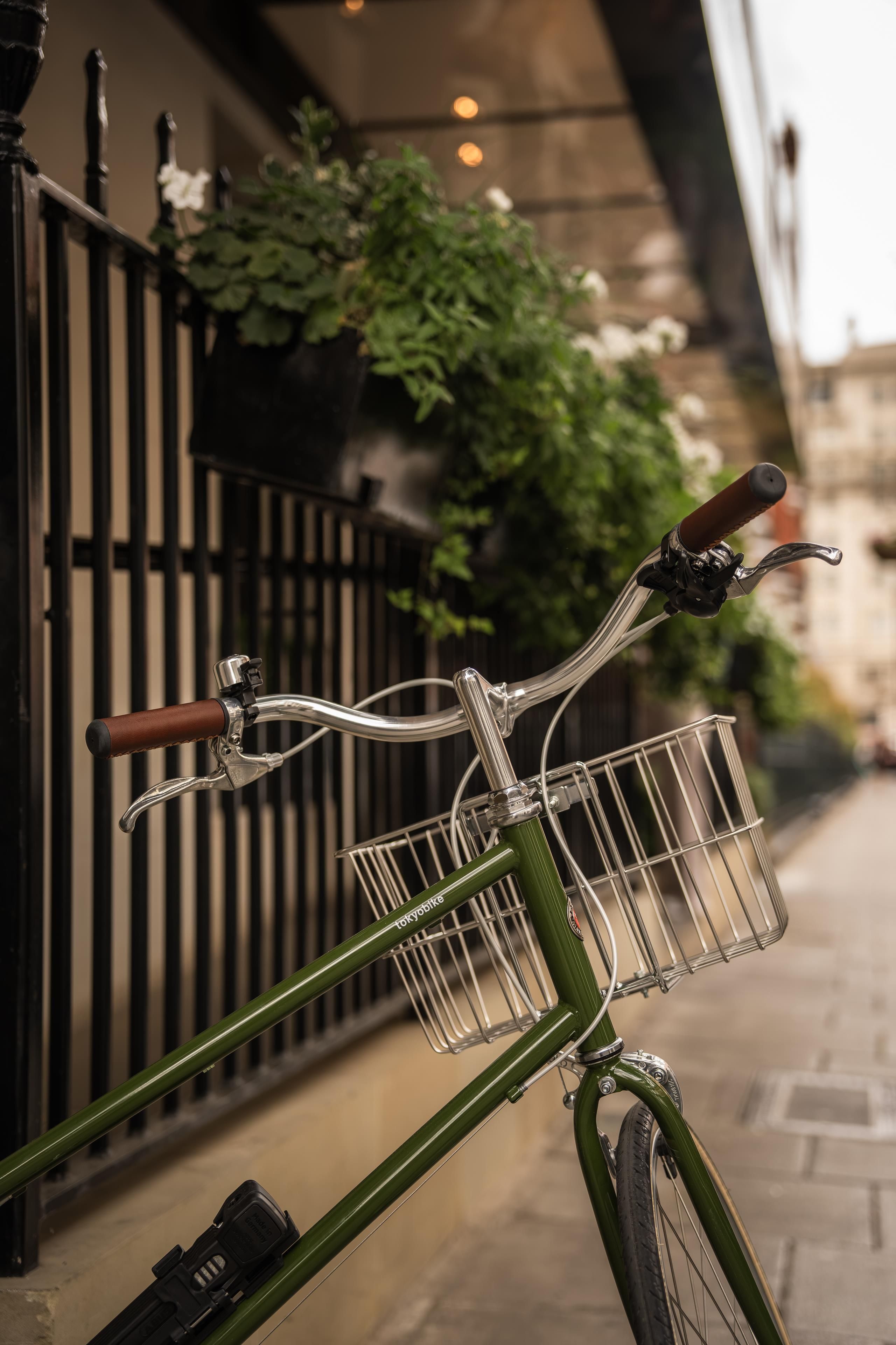 Una bicicleta verde con una canasta, estacionada junto a una valla metálica con follaje al fondo.