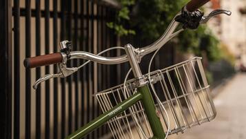Una bicicleta verde con una canasta, estacionada junto a una valla metálica con follaje al fondo.