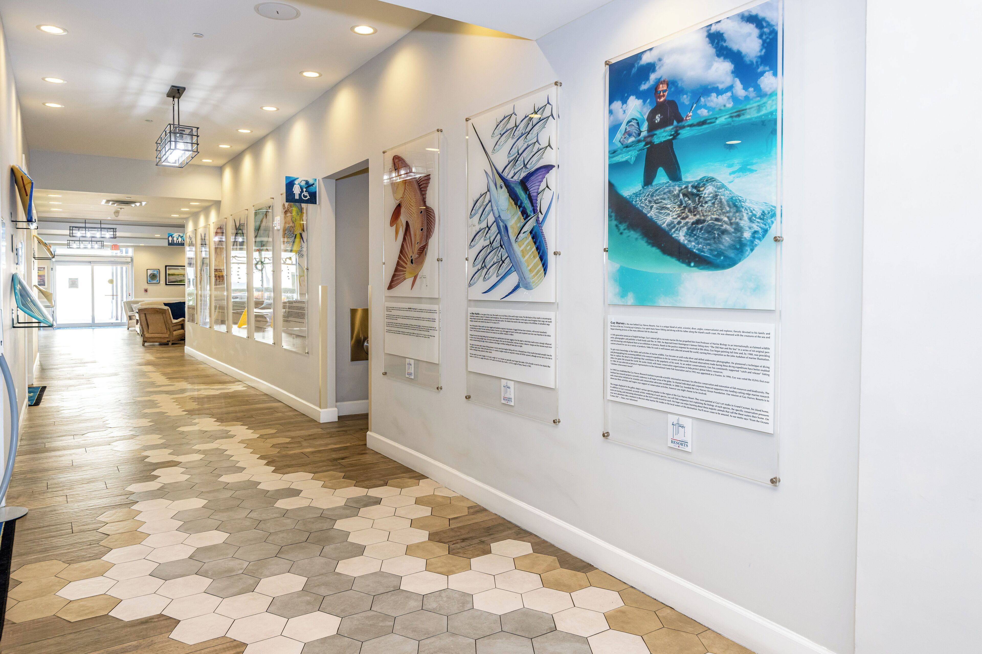 A hallway with hexagonal patterned flooring, framed marine life artwork, and informational plaques.