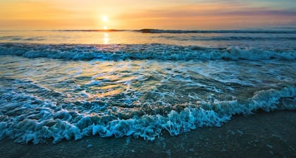 Guy Harvey Resort on St Augustine Beach