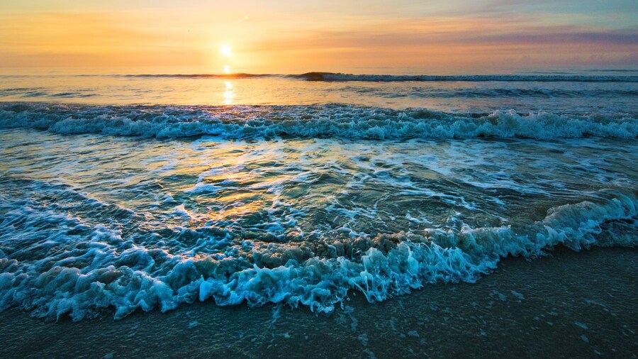 Guy Harvey Resort on St Augustine Beach