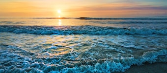 Guy Harvey Resort on St Augustine Beach