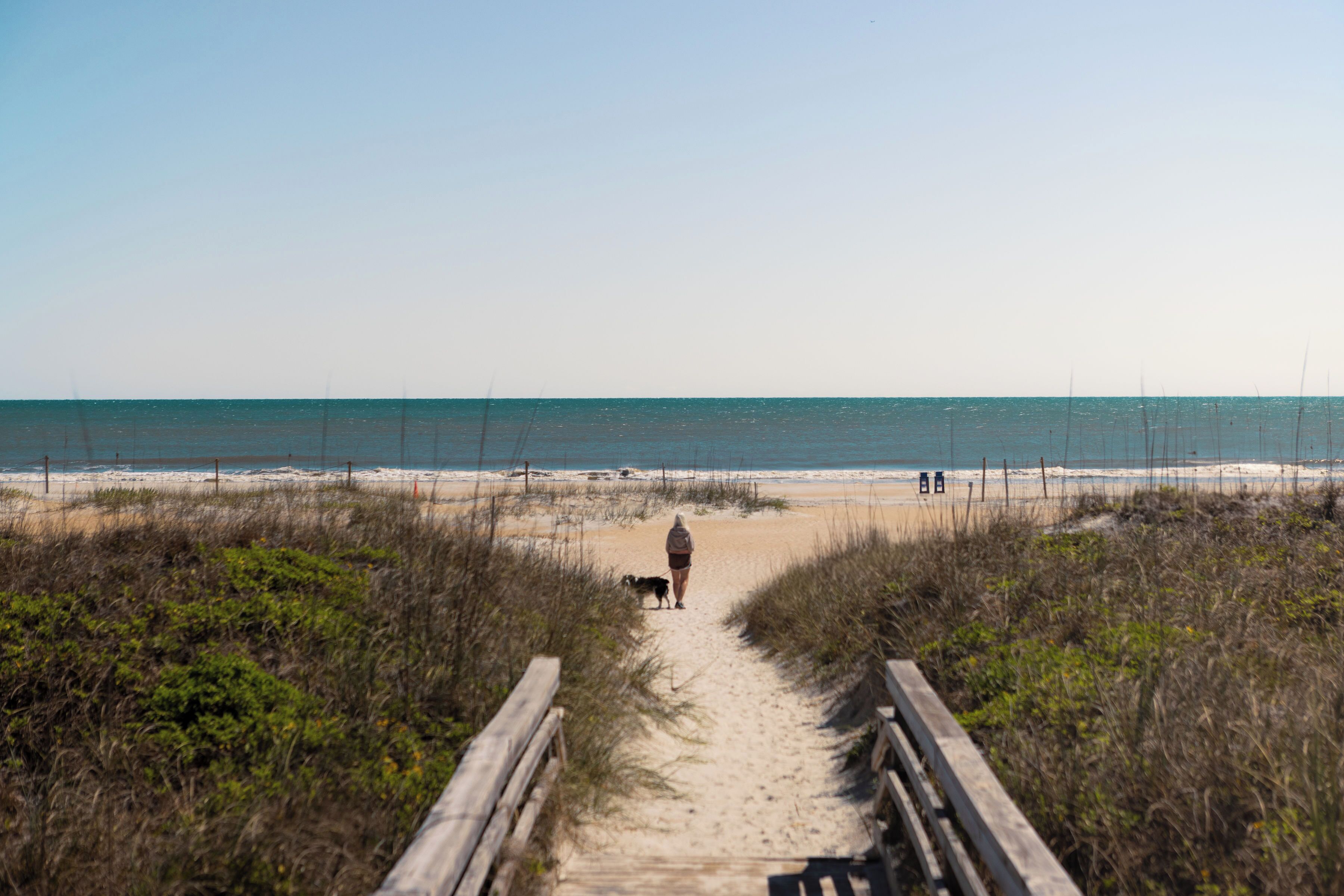 A wooden boardwalk leading to a beach with a person and a dog.