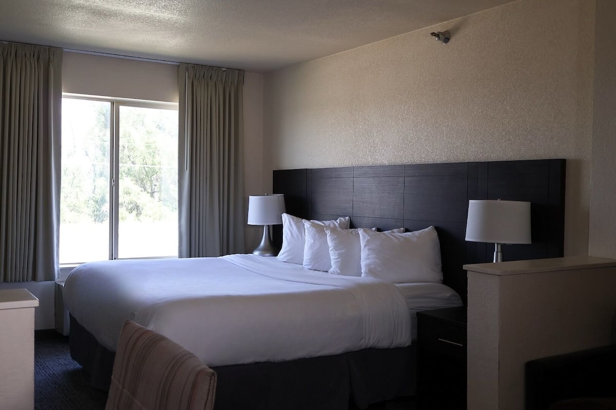 Senior Room | Pillowtop beds, desk, laptop workspace, iron/ironing board
