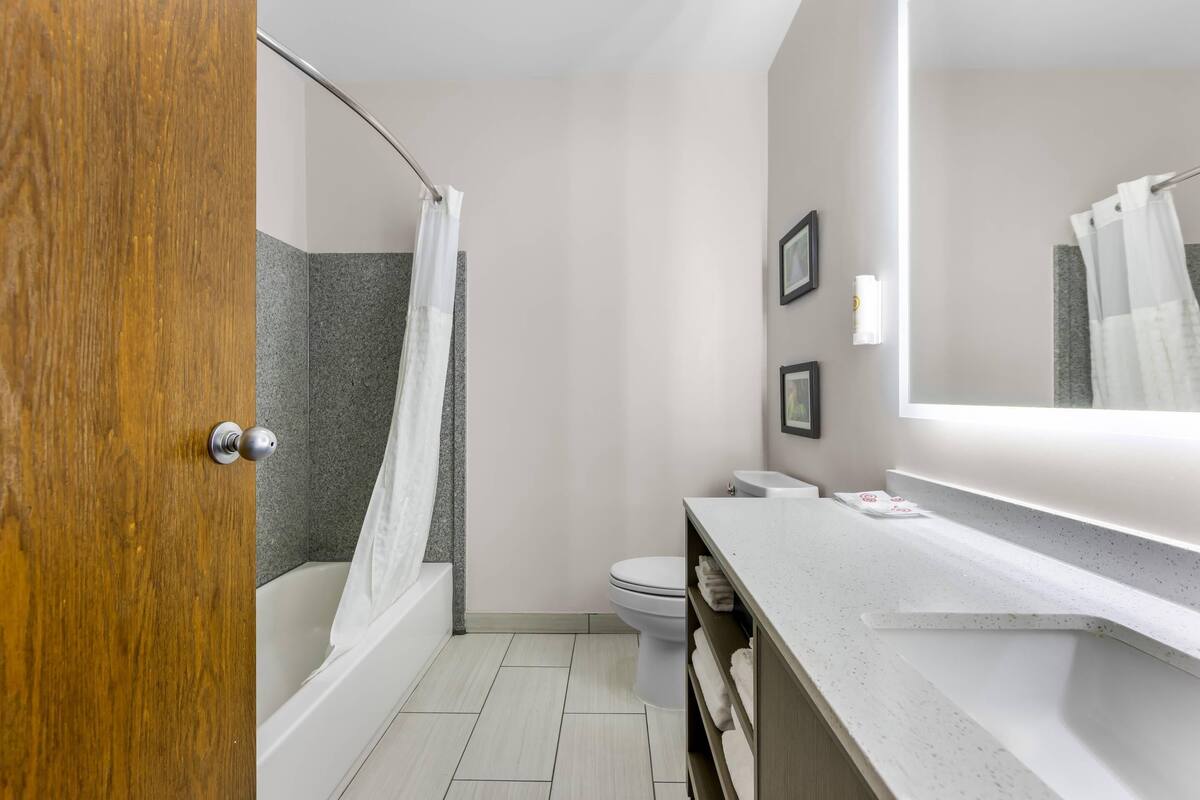Suite, Multiple Beds, Non Smoking | Desk, iron/ironing board, WiFi (free), alarm clocks