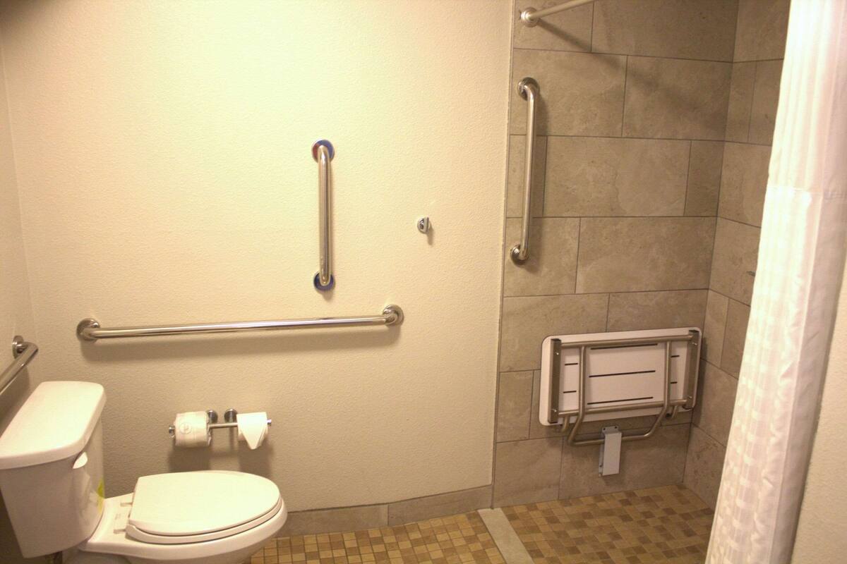 Ein Badezimmer mit Toilette, Haltegriff, Duschbereich und Handläufer.