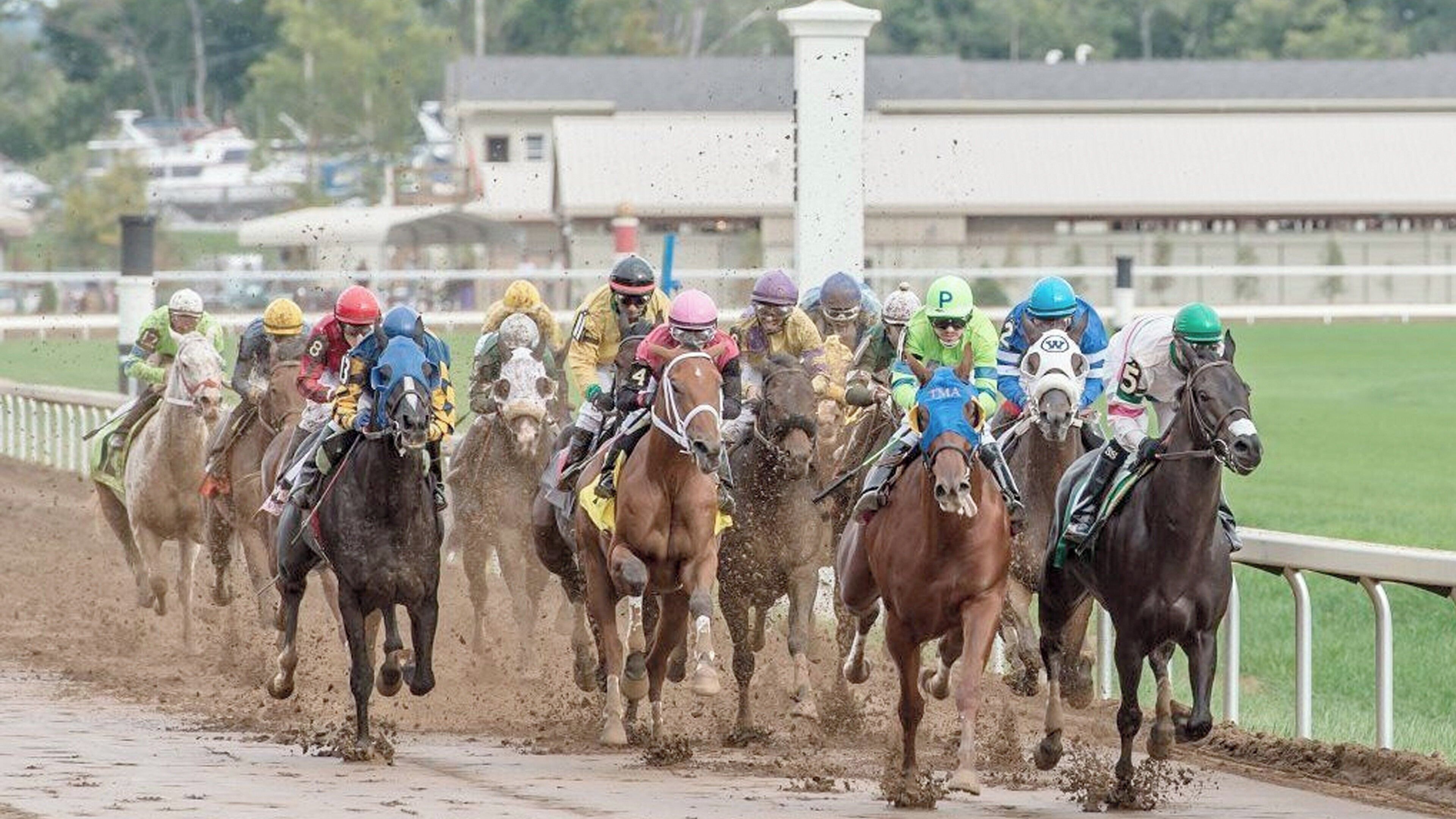 Une course de chevaux avec des jockeys à cheval.