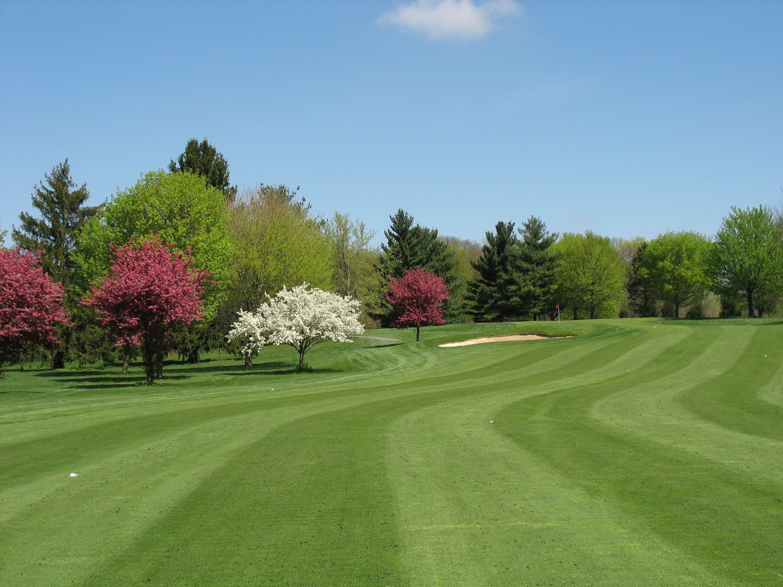 A well-maintained golf course with a clear sky, lush green grass, and a variety of trees in bloom.