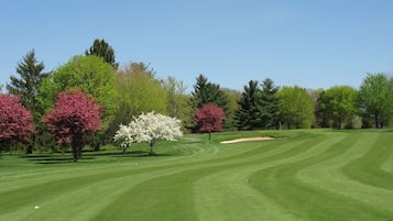 A well-maintained golf course with a clear sky, lush green grass, and a variety of trees in bloom.