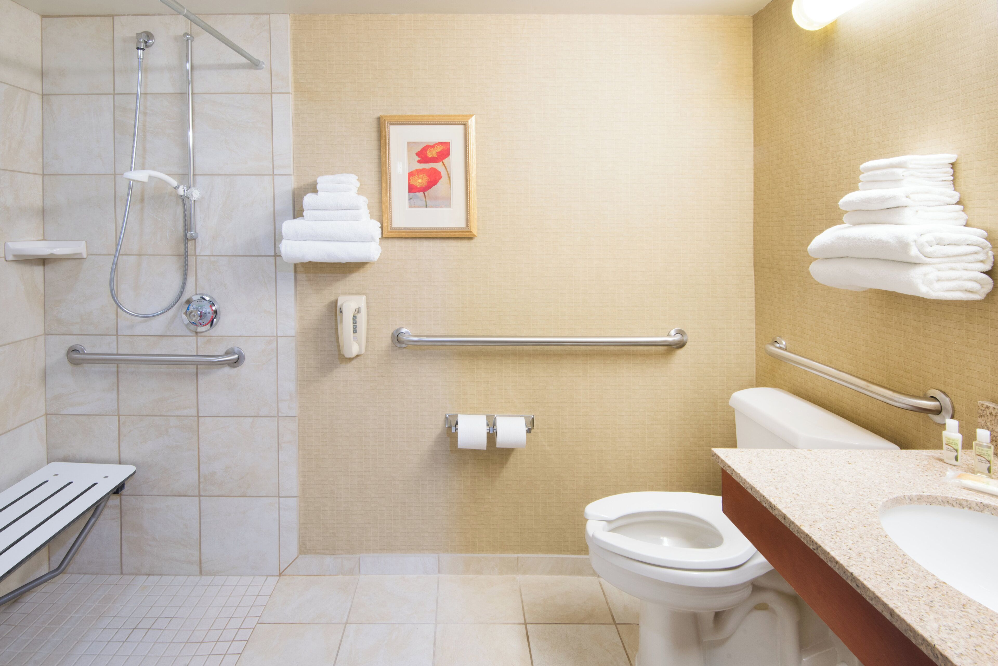 A bathroom with a shower, toilet, sink, and handrails.