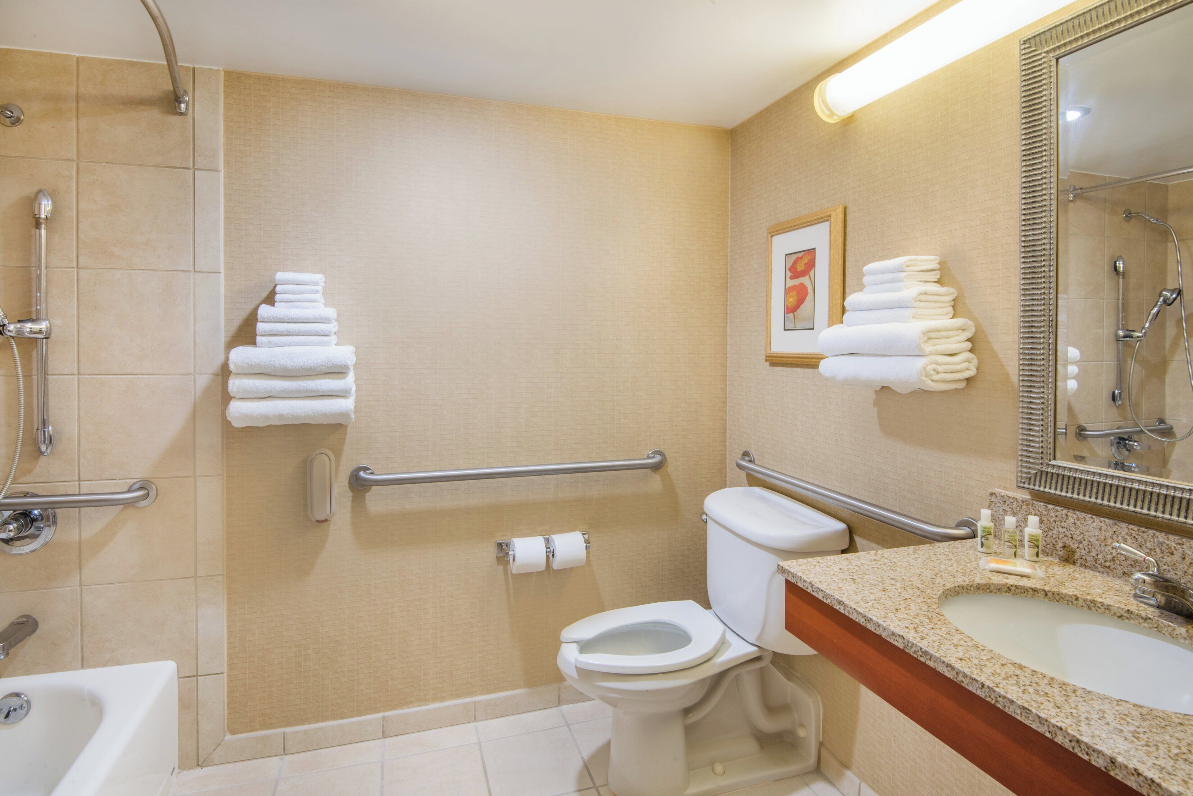 Une salle de bain équipée d’une douche, de toilettes et d’un lavabo, ainsi que de barres d’appui et d’une main courante.