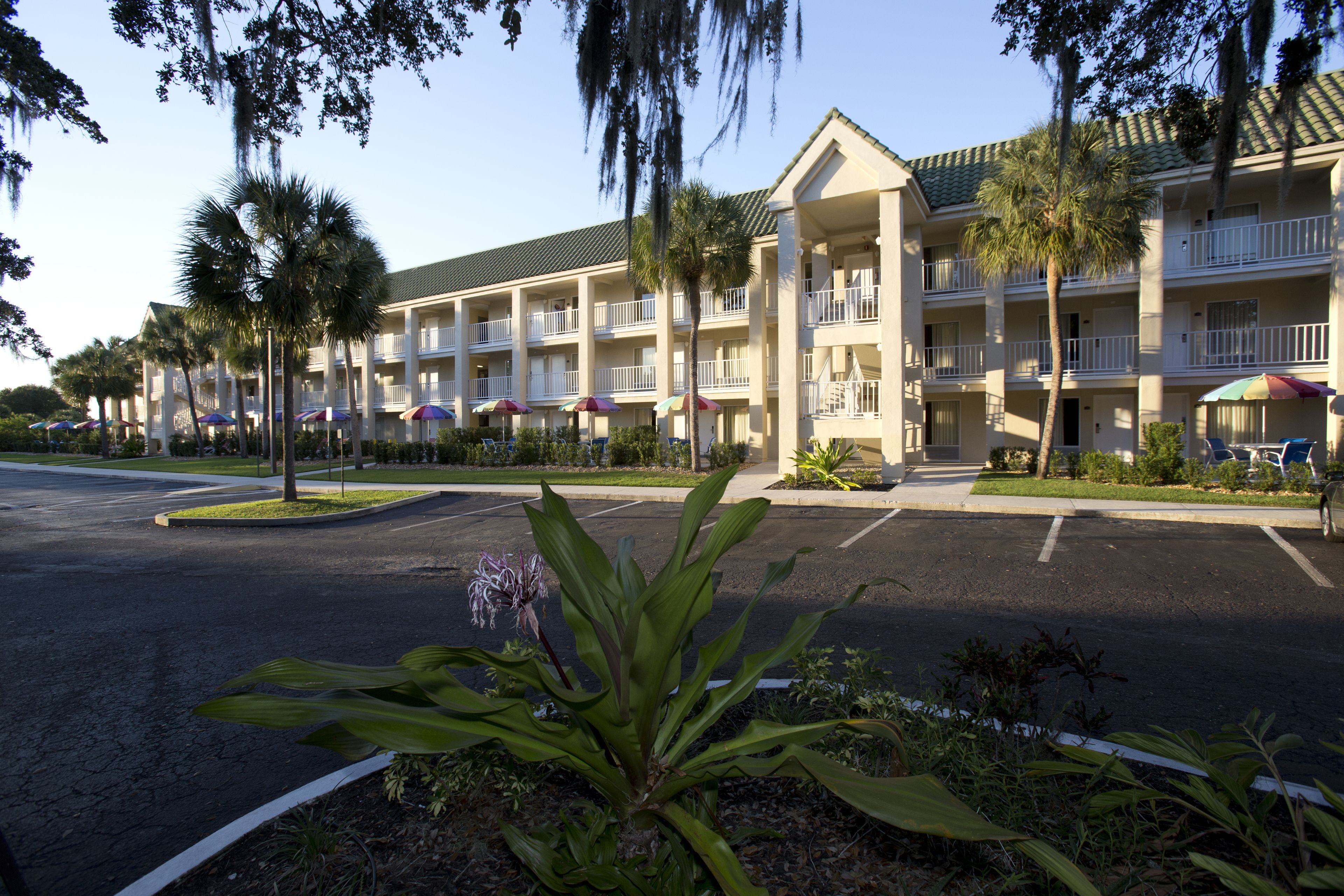 A hotel with multiple balconies, a parking lot, and palm trees.