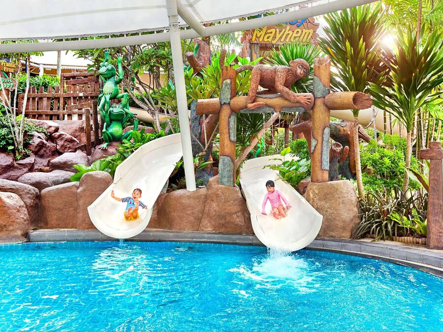 Zona de piscina con dos toboganes, una estructura de escalada de madera y plantas tropicales.