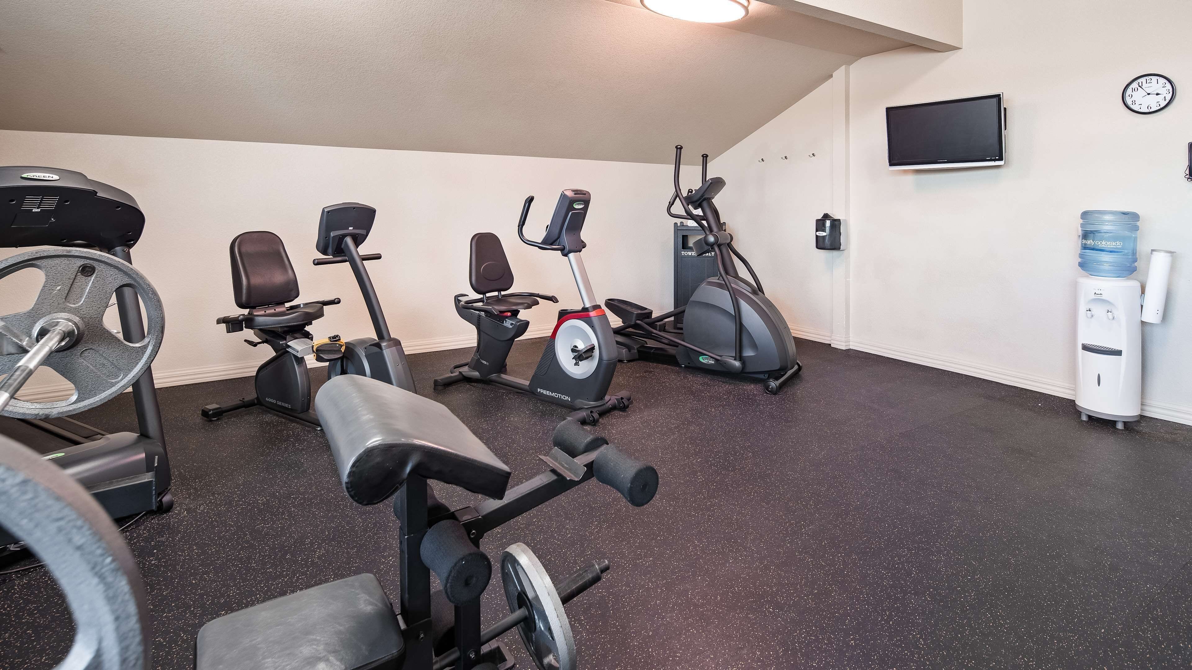 Een sportschool met diverse fitnessapparaten, waaronder loopbanden, hometrainers en een bankje voor krachttraining.