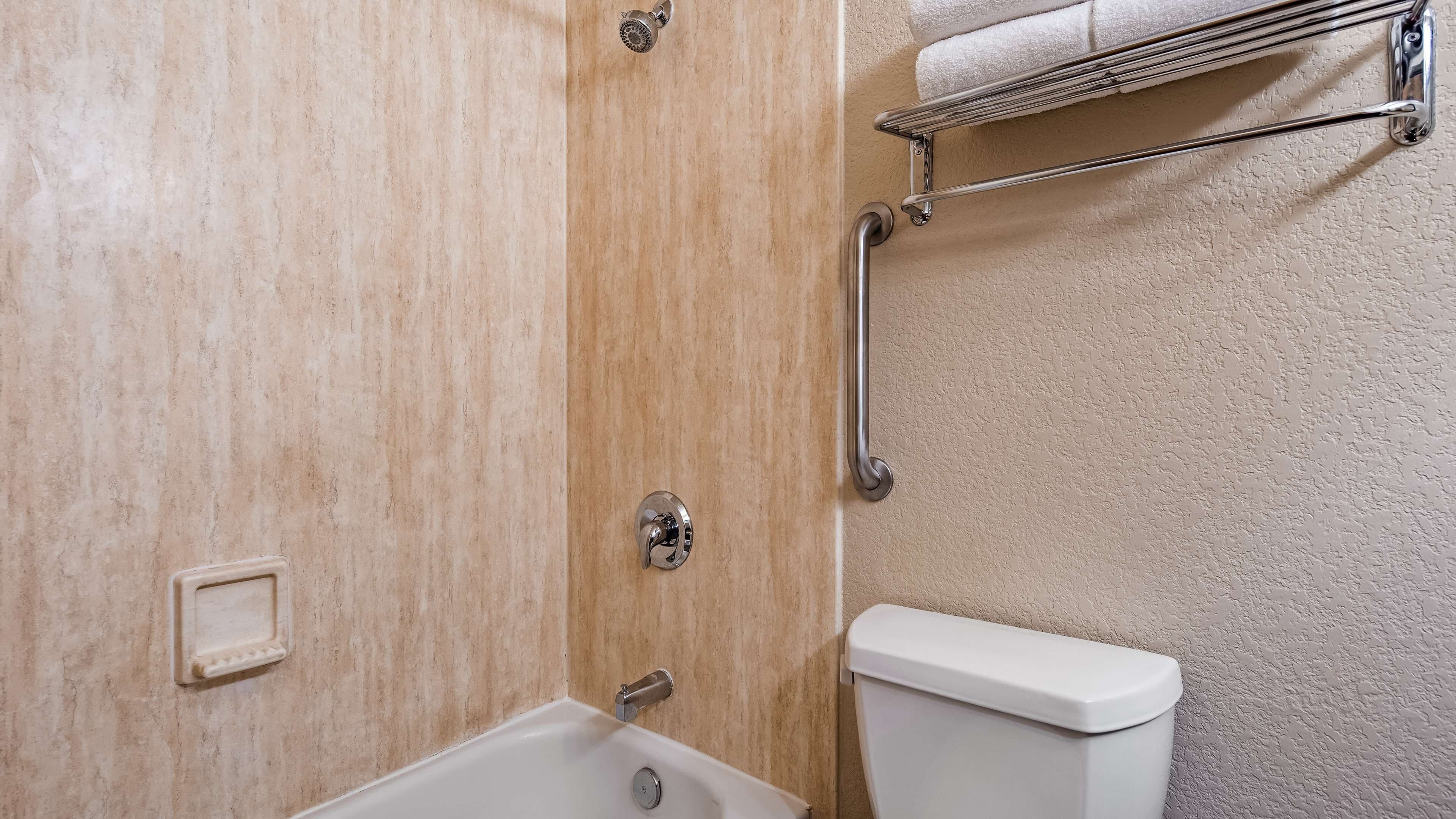 A bathroom with a shower, toilet, and towel rack.