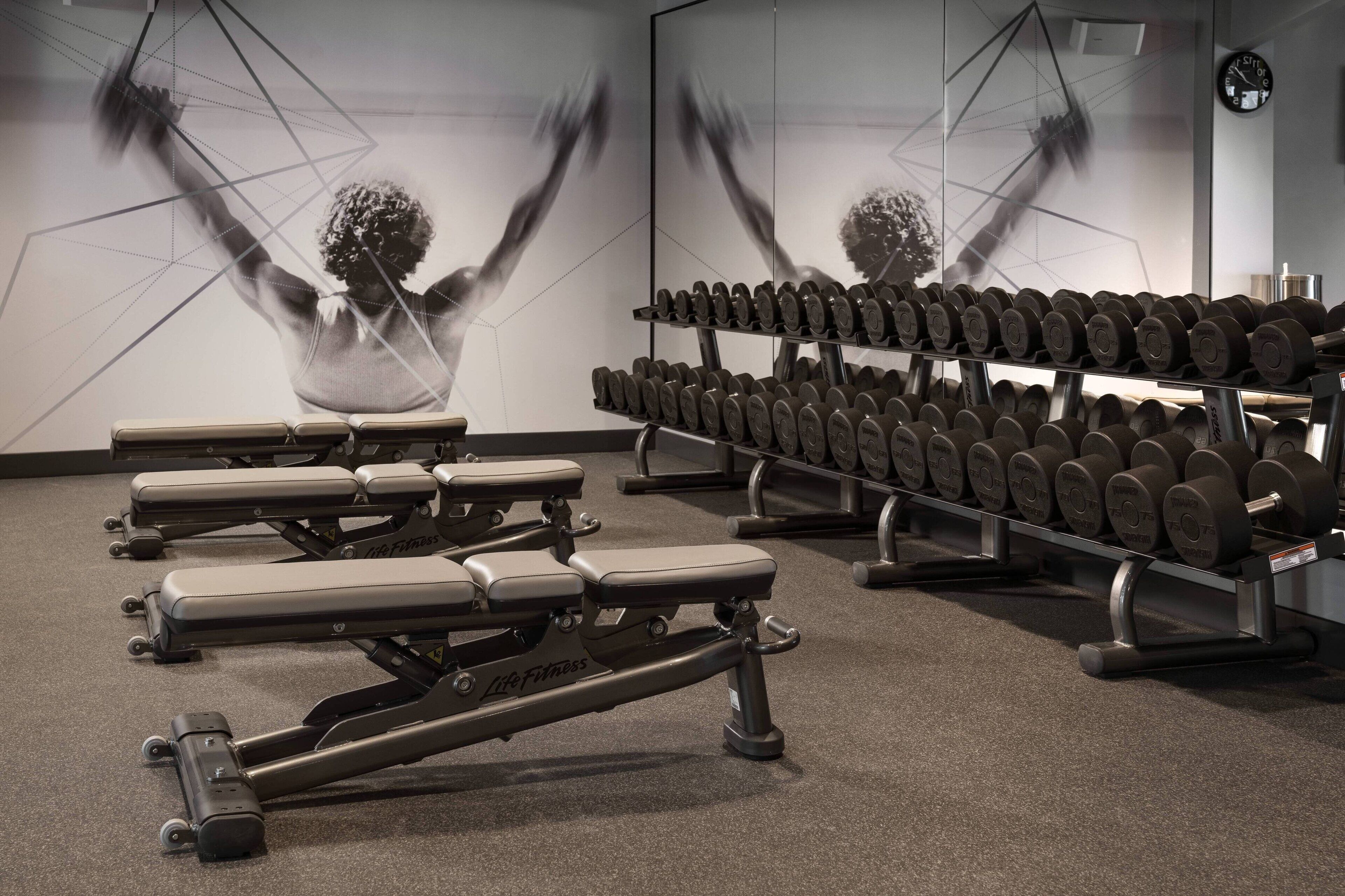 A gym with weight benches, dumbbells, and exercise equipment.