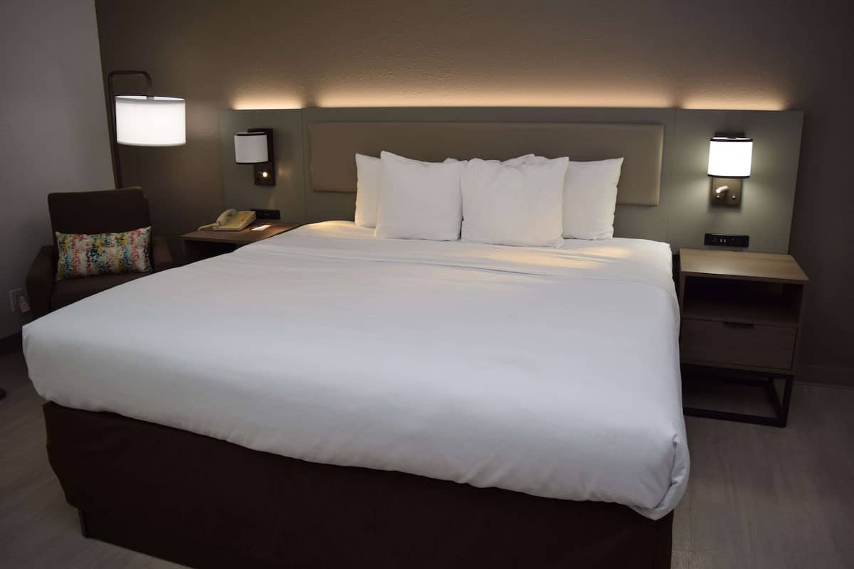 Standard Room, 1 King Bed | Hypo-allergenic bedding, desk, laptop workspace, blackout drapes