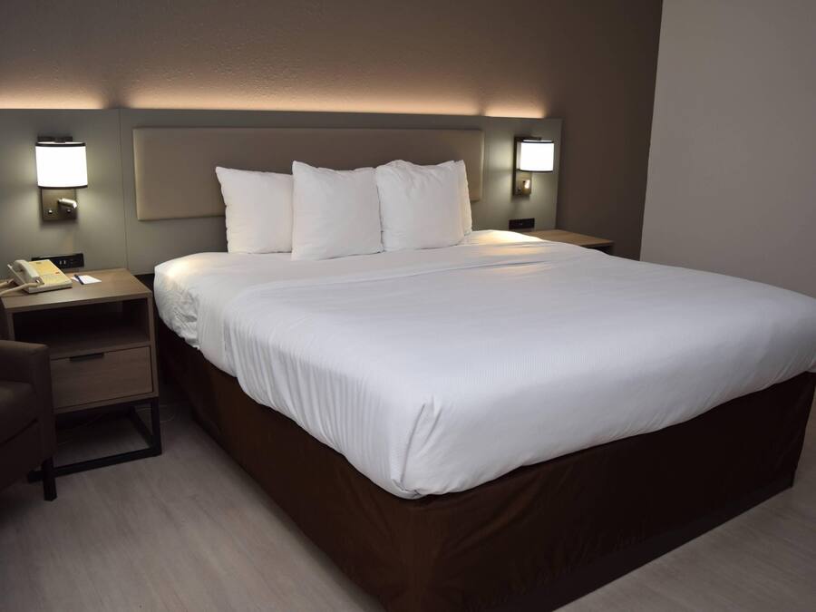 Standard Room, 1 King Bed | Hypo-allergenic bedding, desk, laptop workspace, blackout drapes