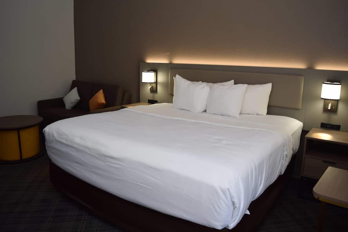 Suite, 1 King Bed with Sofa bed, Non Smoking (Upgrade) | Hypo-allergenic bedding, desk, laptop workspace, blackout drapes