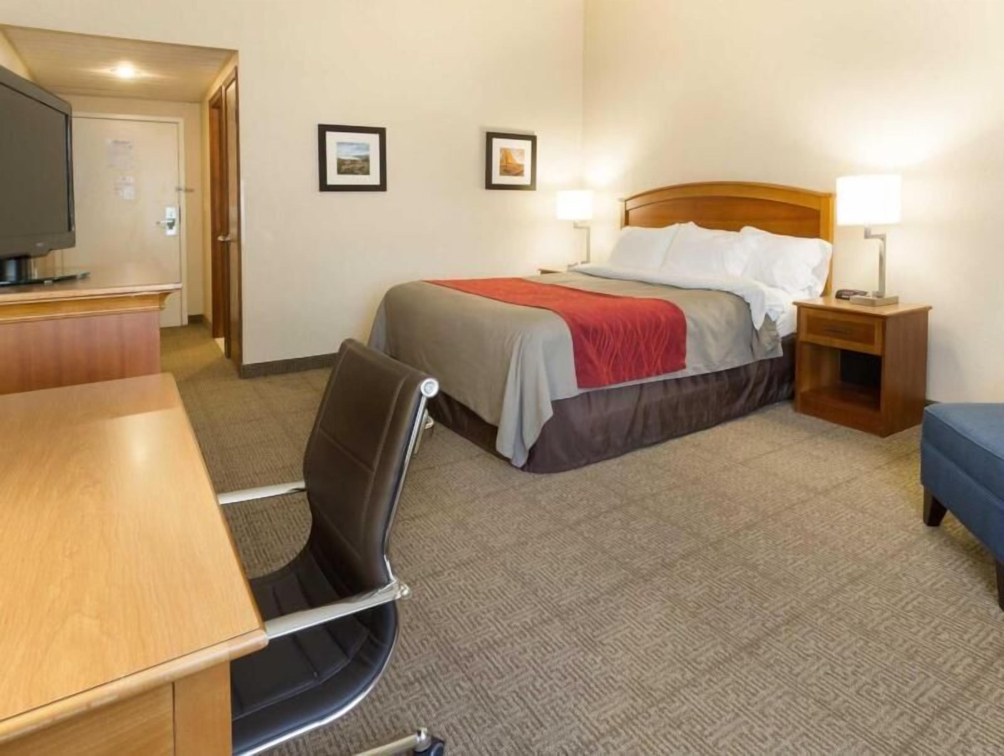 Hypo-allergenic bedding, desk, laptop workspace, blackout drapes