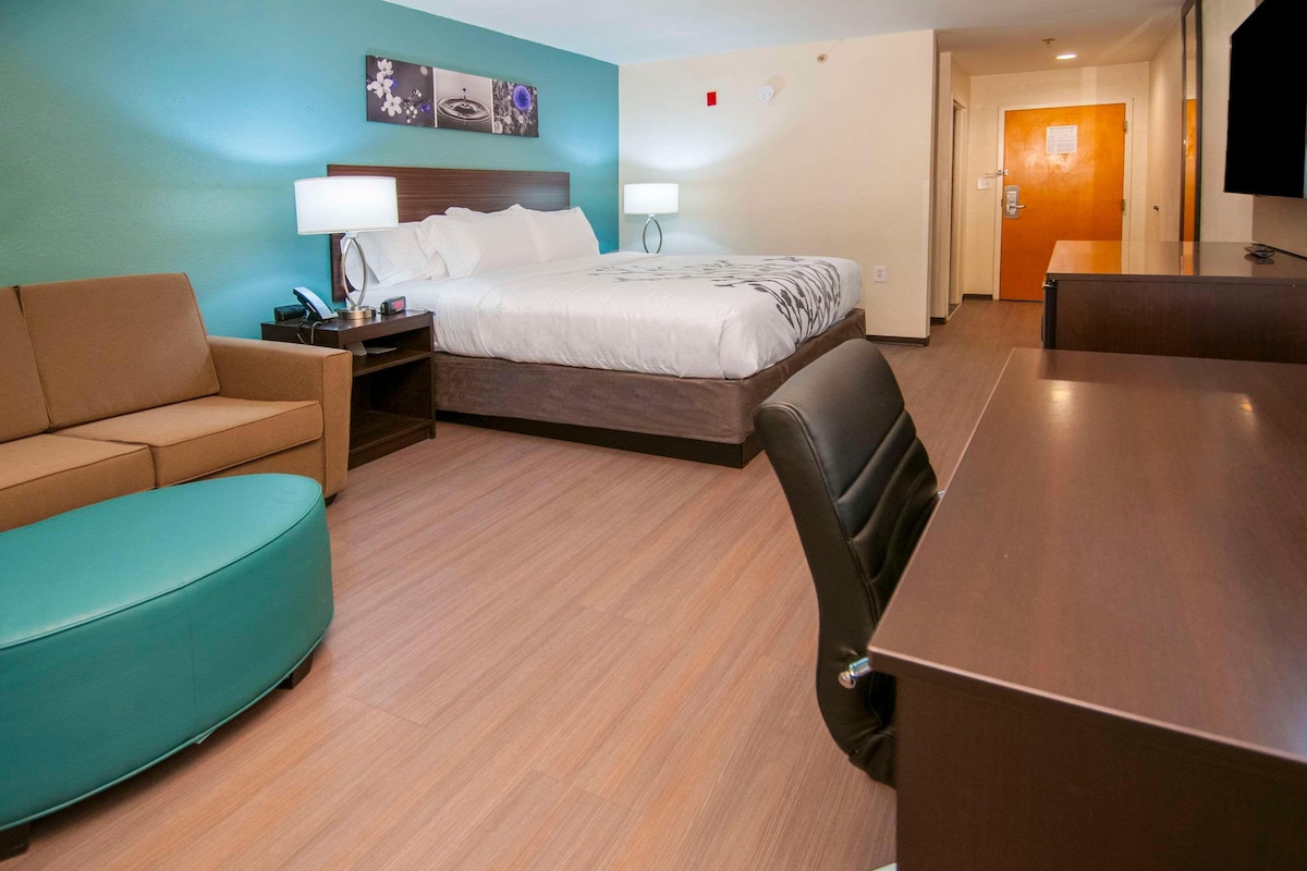 A hotel room with a bed, a sofa, a desk, and a chair.