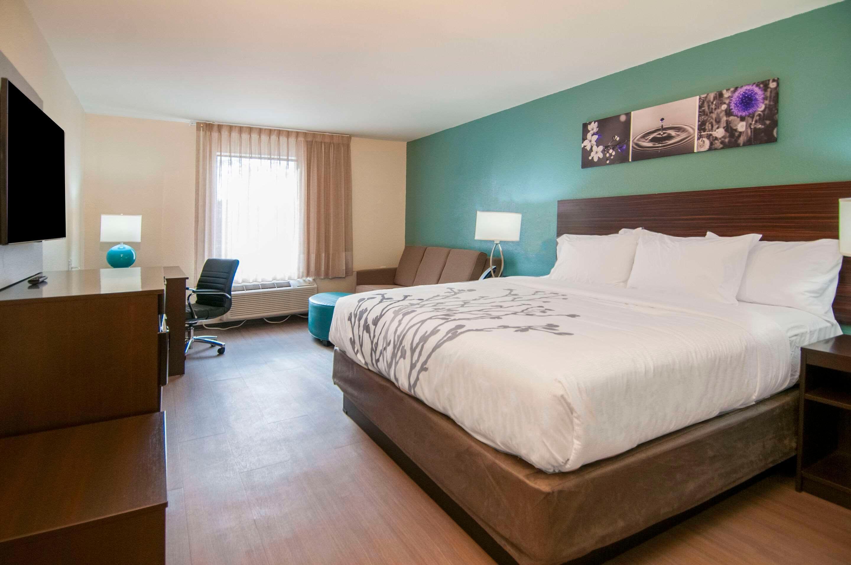 A hotel room with a large bed, a desk, a chair, a television, and a window with curtains.
