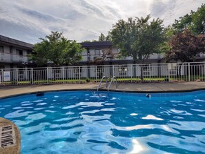 Outdoor pool, pool umbrellas, pool loungers