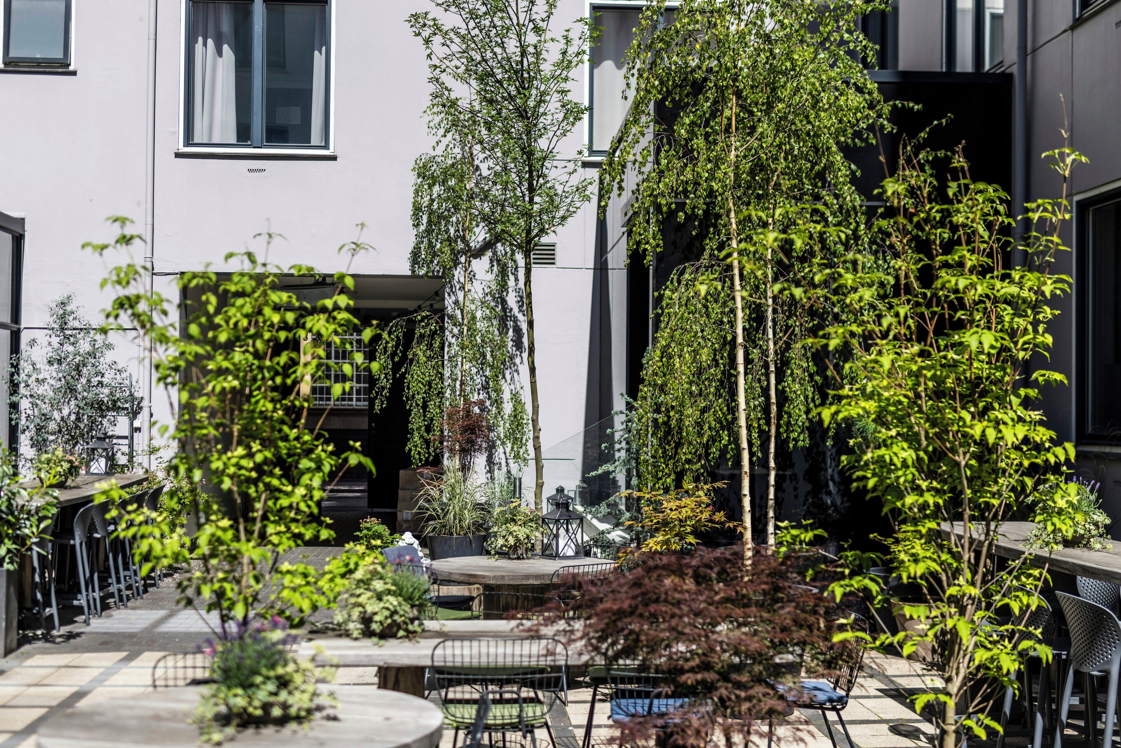 Foto - Motel One Copenhagen