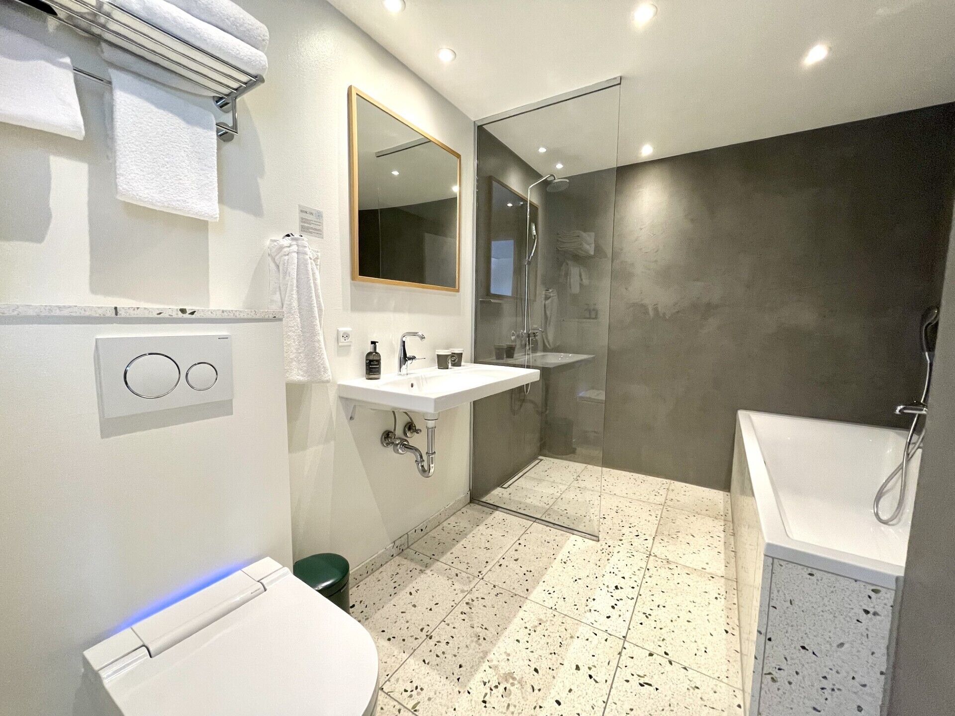 superior room, 1 king bed | bathroom | shower, rainfall showerhead, eco-friendly toiletries, hair dryer