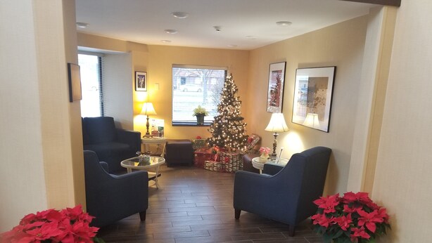 A living room with two armchairs, a coffee table, a Christmas tree, and poinsettia plants.