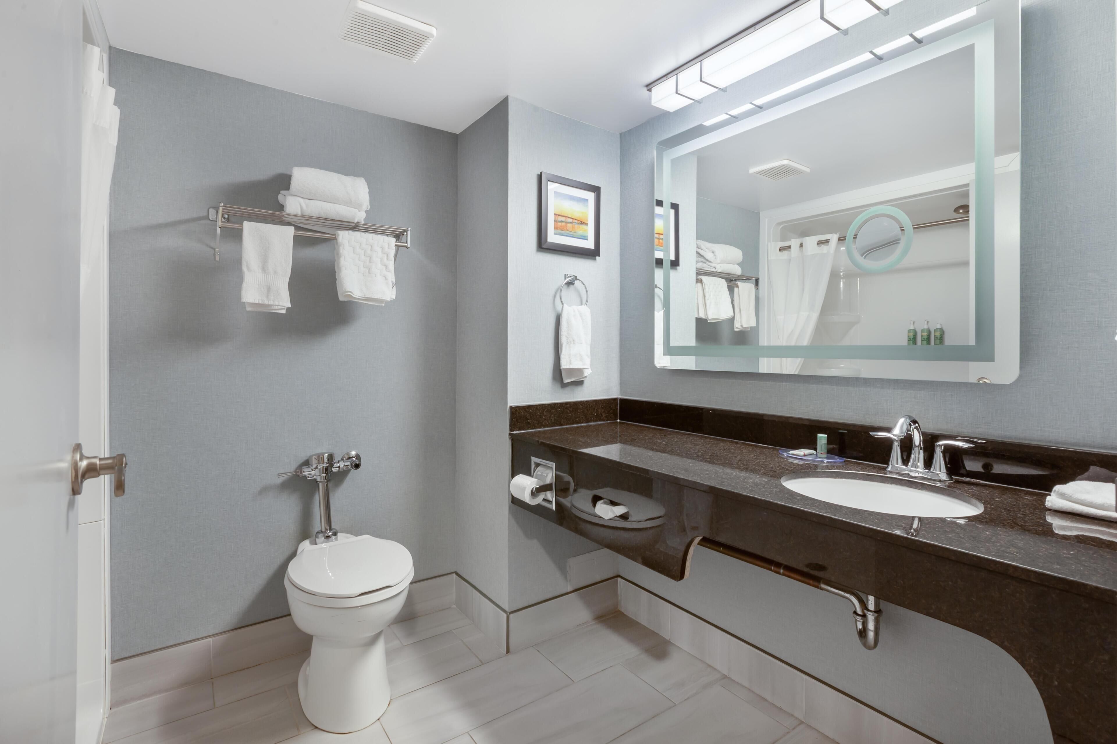 A modern bathroom with a toilet, sink, and mirror.