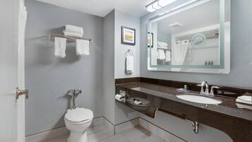 A modern bathroom with a toilet, sink, and mirror.