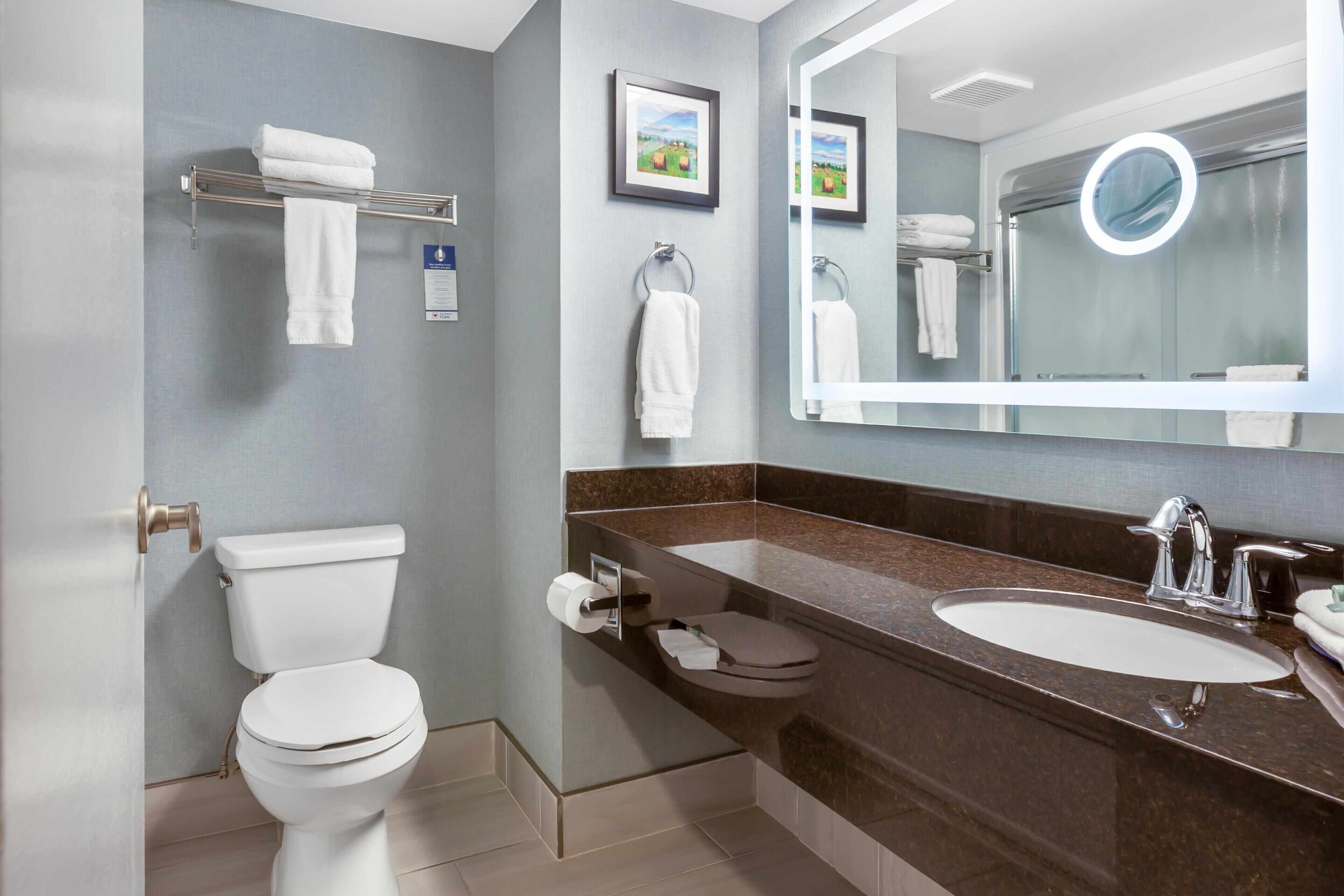 A modern bathroom with a toilet, sink, and large mirror.