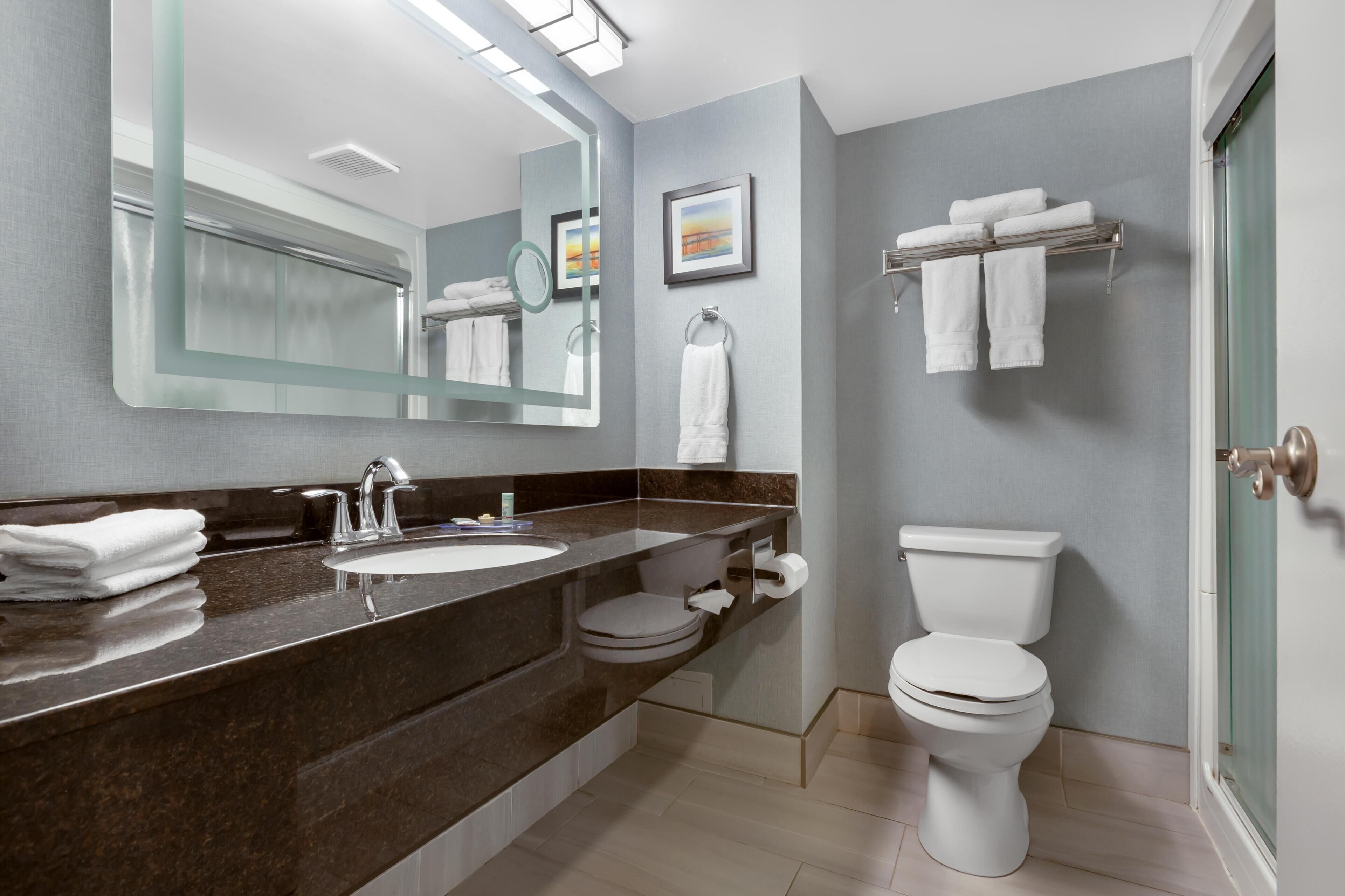A modern bathroom with a dark marble countertop, a large mirror, a white toilet, and a towel rack.