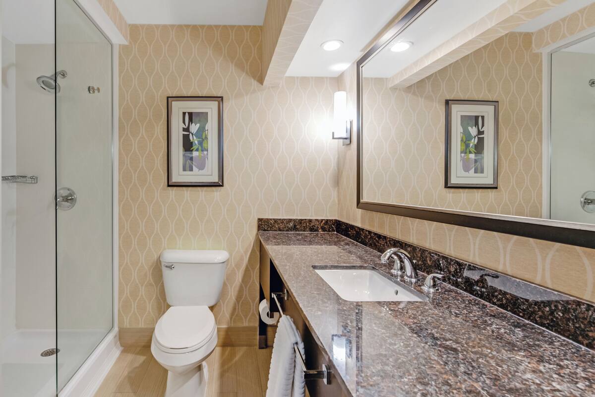 suite, 1 double bed with sofa bed, accessible, non smoking | bathroom | hair dryer, towels