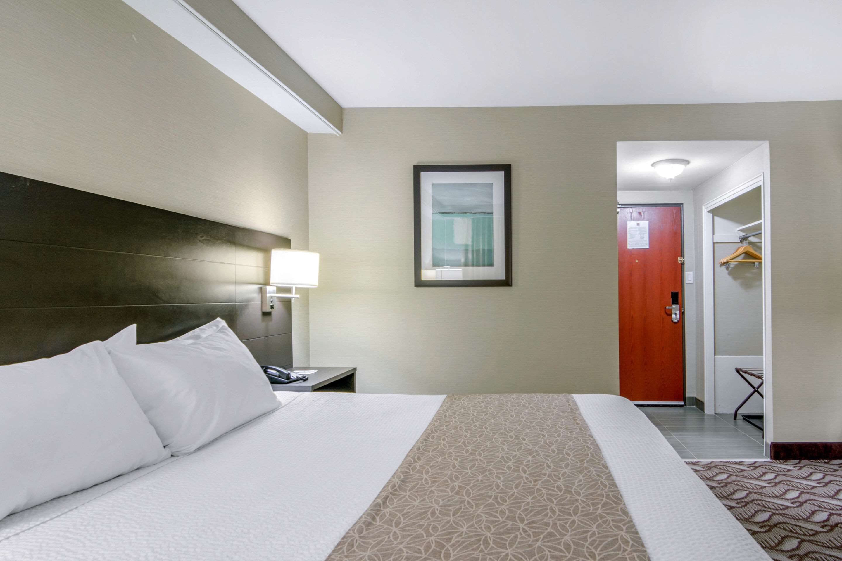 A hotel room with a large bed, a nightstand, a lamp, a framed picture on the wall, a door, and a closet with a hanging rack.