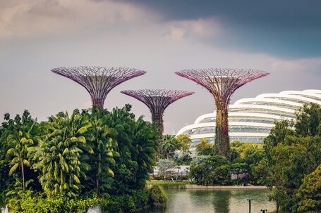 Pan Pacific Singapore - Image 71