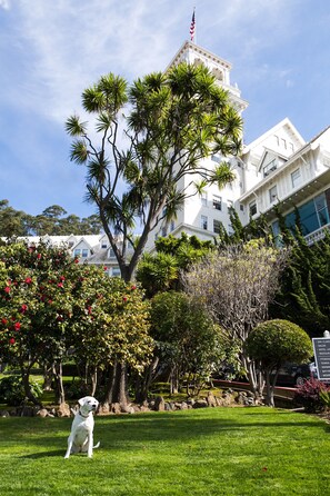 A white building with a flag, surrounded by lush greenery and a dog in a grassy area.