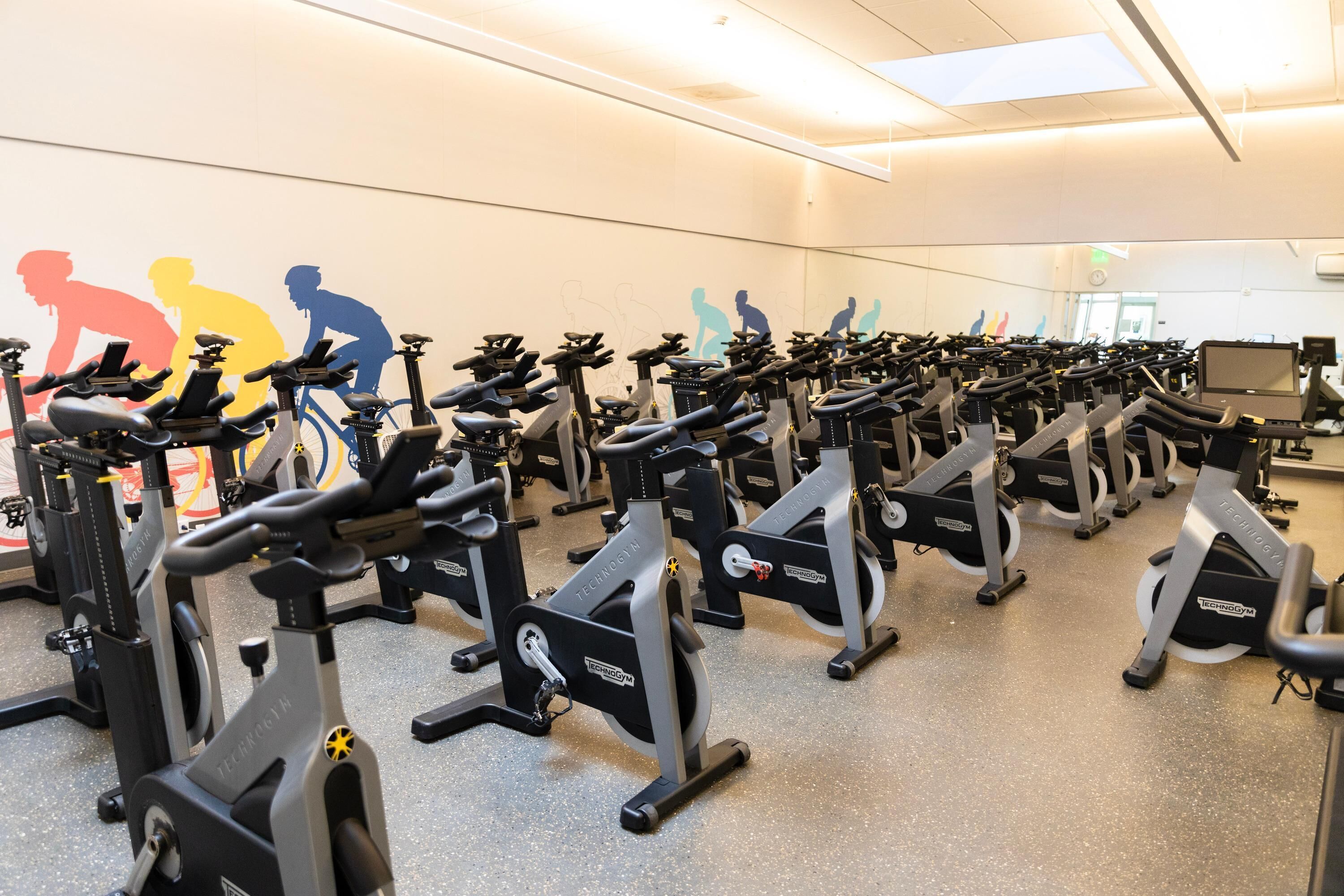 A gym with multiple exercise bikes arranged in rows.