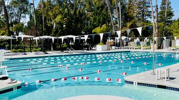 A swimming pool with multiple lanes, surrounded by palm trees and shaded areas.